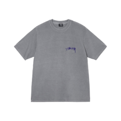 arachnid-tee-pigment-dyed-grey